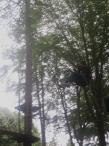 rentrée sportive